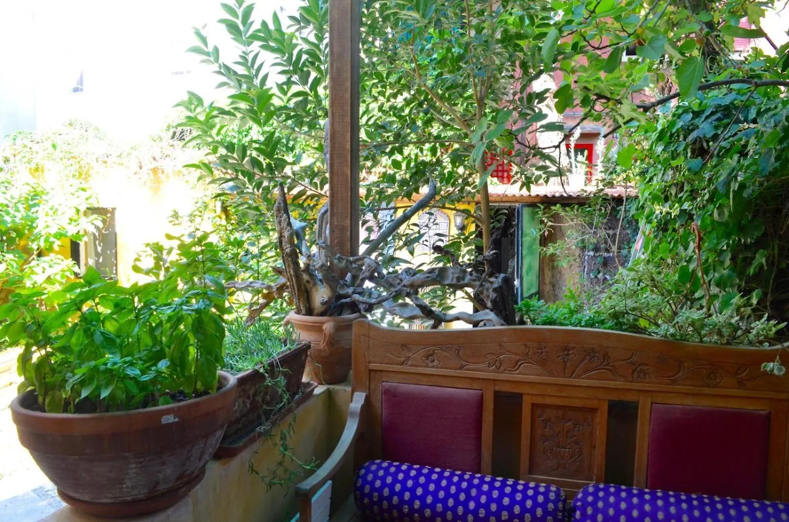 威尼斯丽都Secret Garden In Lido公寓